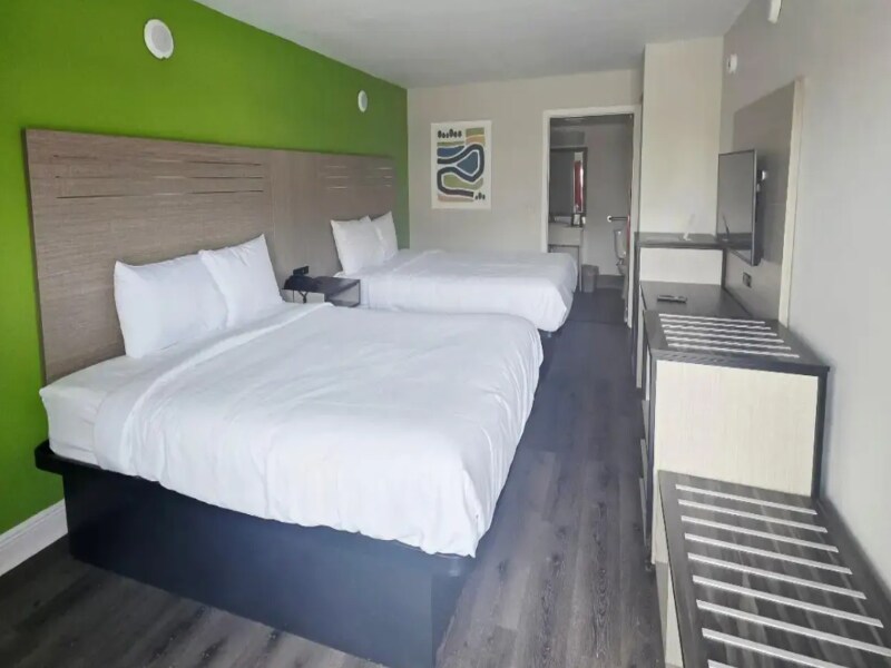 Two Queen ADA Non-Smoking guest room with two queen beds against a green accent wall and a bathroom doorway in view